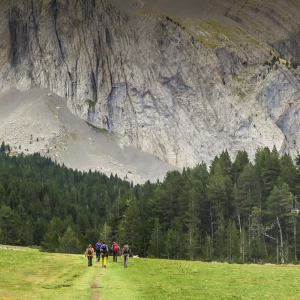 excursiones y rutas guiadas de un día y media jornada